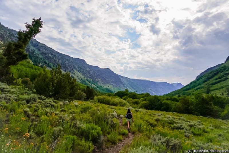Walking through the Little Blitzen Gorge