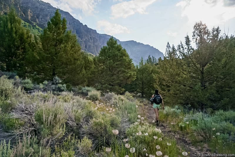 Near the start of the Little Blitzen Trail