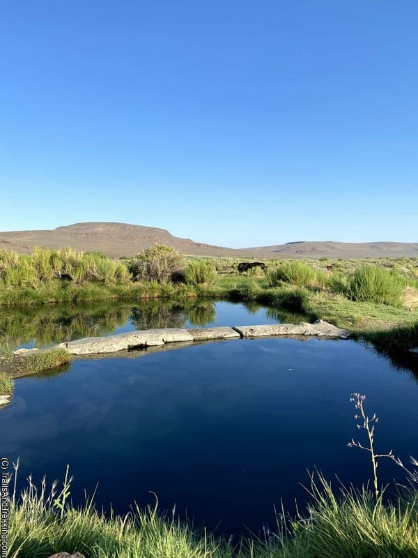 Willow Creek Hot Springs, Southeastern Oregon